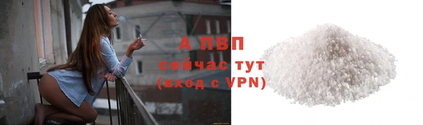 молекула духа Белоозёрский