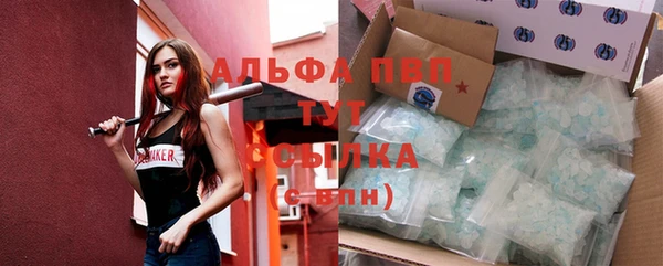 молекула духа Белоозёрский
