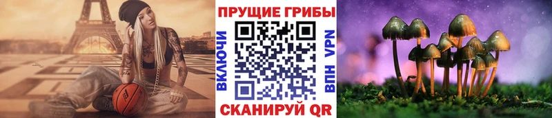 Псилоцибиновые грибы Psilocybe  Сегежа 