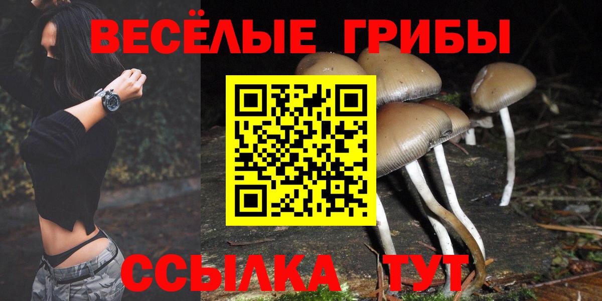 Псилоцибиновые грибы ЛСД Сегежа