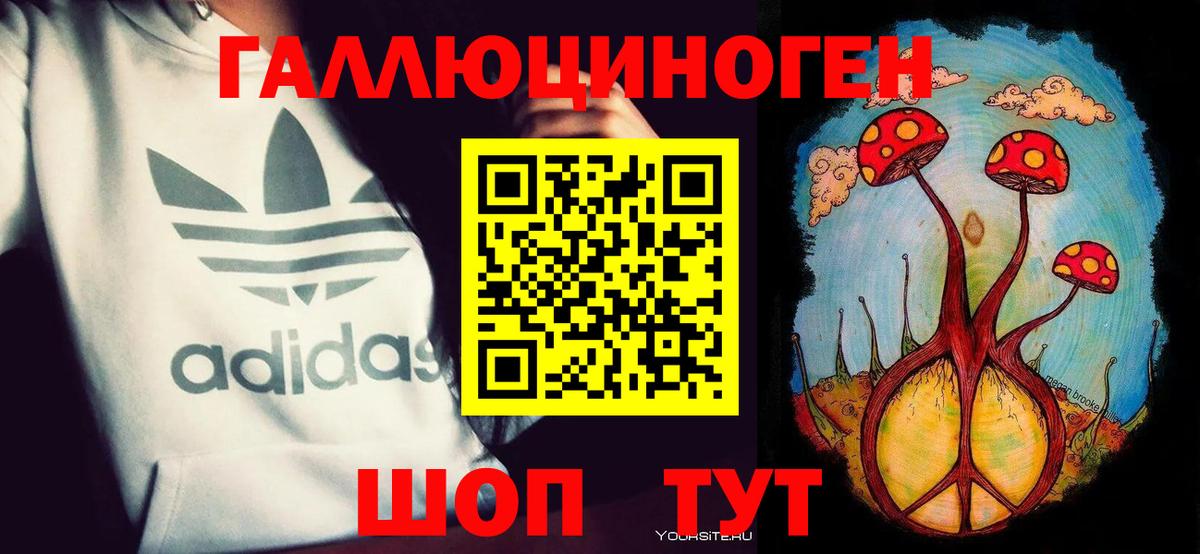 Галлюциногенные грибы Сегежа