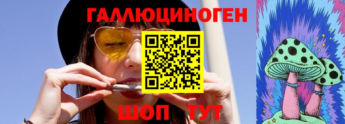 Псилоцибиновые грибы Psilocybine cubensis  Псилоцибиновые грибы мицелий  Вход с VPN  Сегежа 