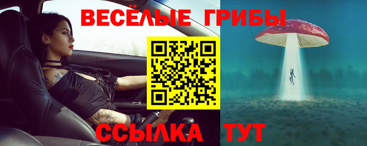 COCAIN  ГАШИШ  АМФЕТАМИН кристаллы  Бошки Шишки  Сегежа  Мефедрон кристаллы  Вход с VPN  ГАШИШ 